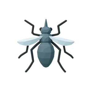 Insectos
